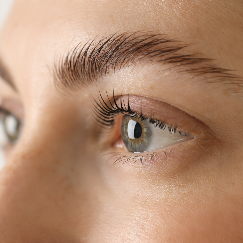 Brow lamination in de salon: techniek, veiligheid en EU-regels