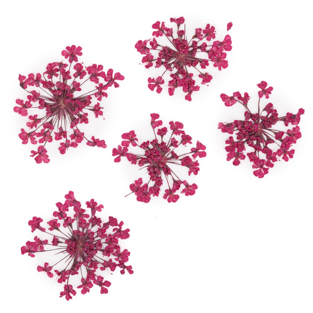 Molly Nageldecoratie Droogbloemen Groen 5 Stuks