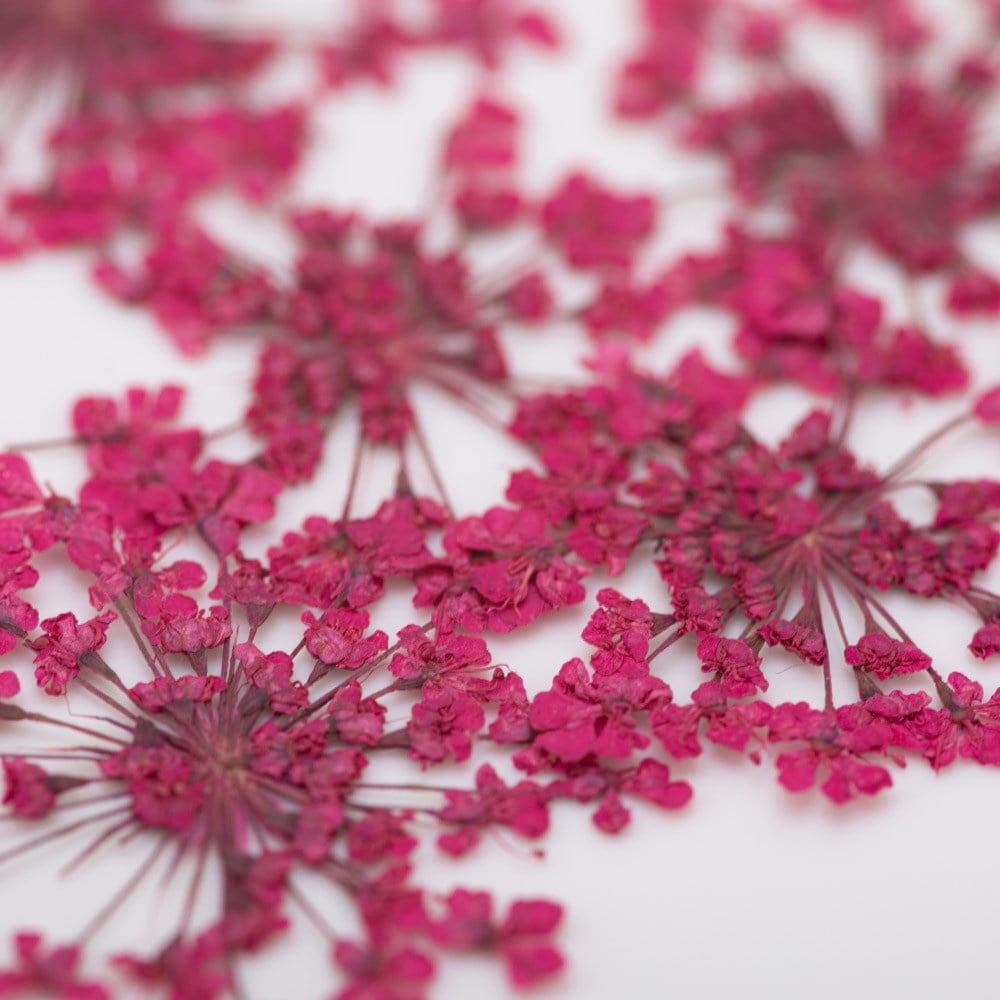 Molly Nageldecoratie Droogbloemen Groen 5 Stuks