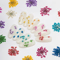 Molly Nageldecoratie Droogbloemen Groen 5 Stuks