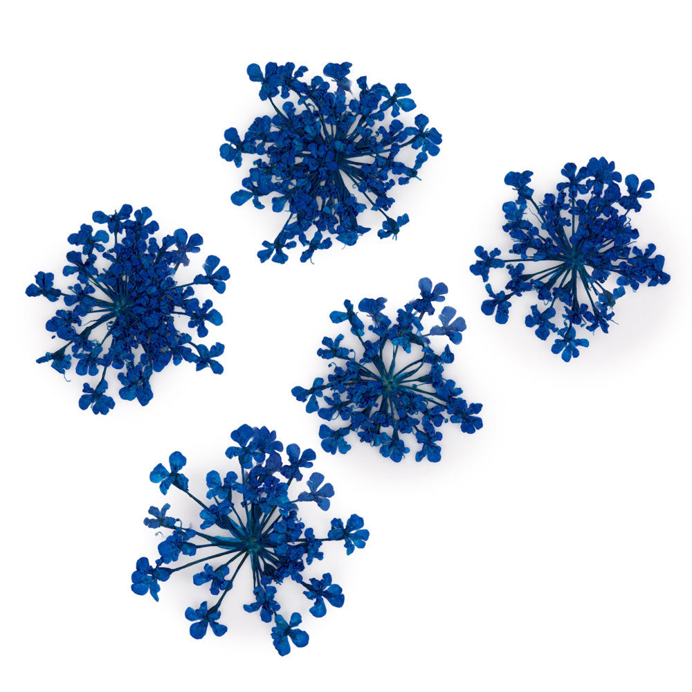 Molly Nageldecoratie Droogbloemen Groen 5 Stuks
