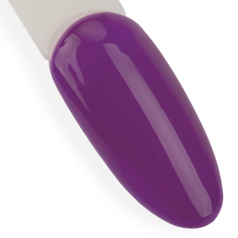 Molly Gel Polish - Antidepressant Magnetique Nr. 492
