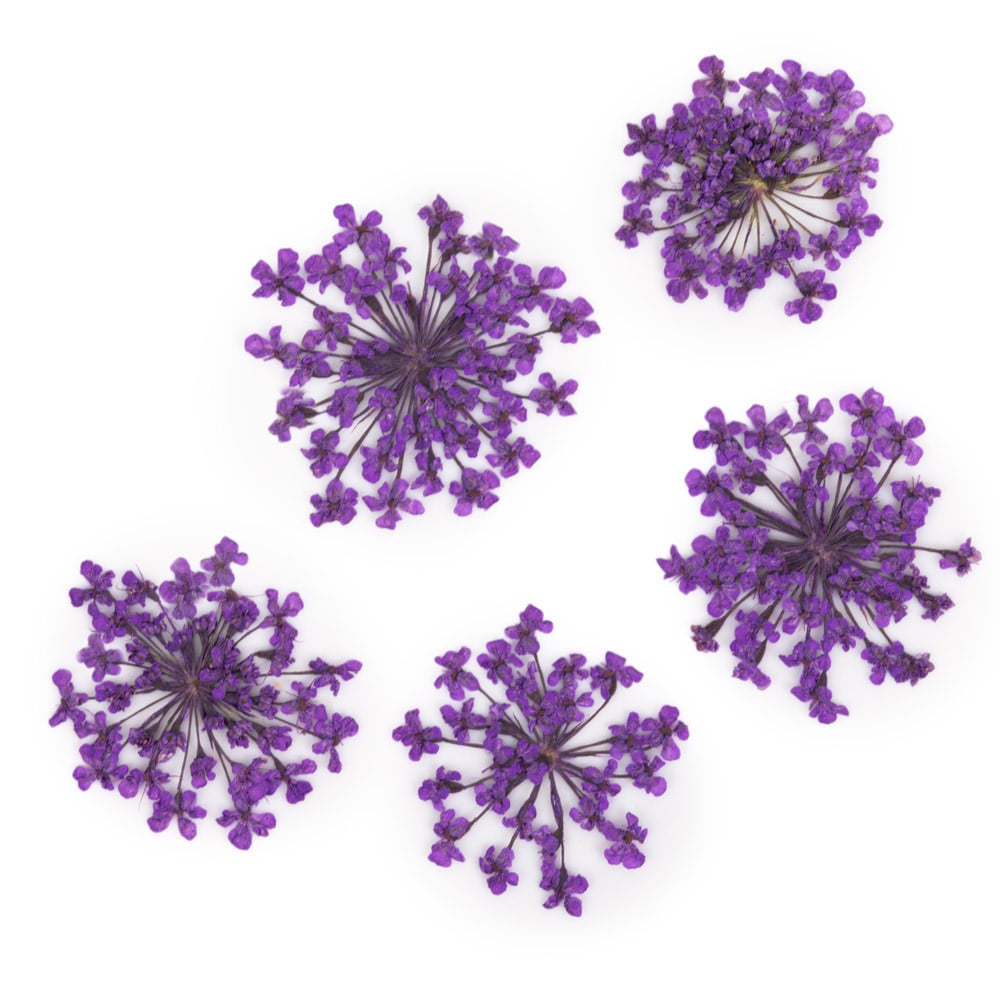 Molly Nageldecoratie Droogbloemen Groen 5 Stuks