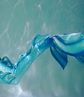 Holiday Excellent Mermaid Wax 400 Ml / 800 Ml